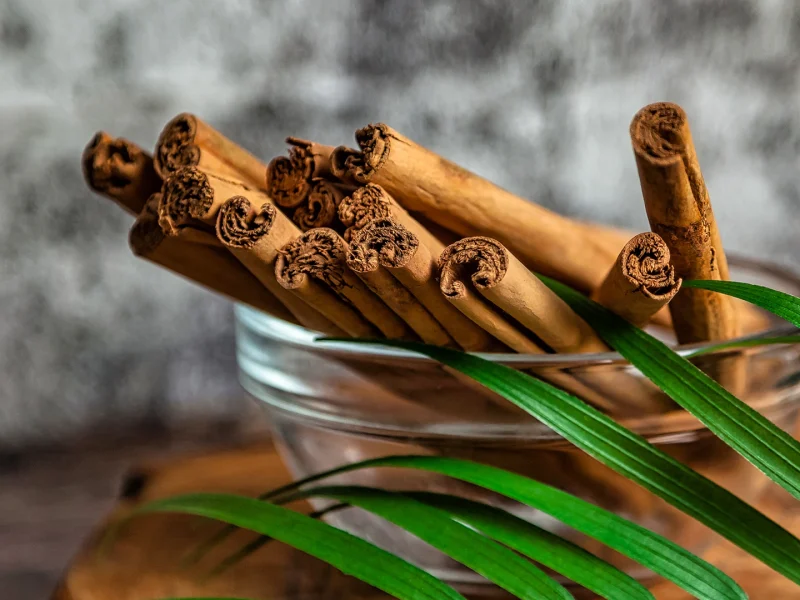 cinnamon-sticks-in-glass-plate-with-palm-leaf-on-w-2023-12-21-22-25-52-utc (1) copy cinnamon-sticks-in-glass-plate-with-palm-leaf-on-w-2023-12-21-22-25-52-utc (1) copy